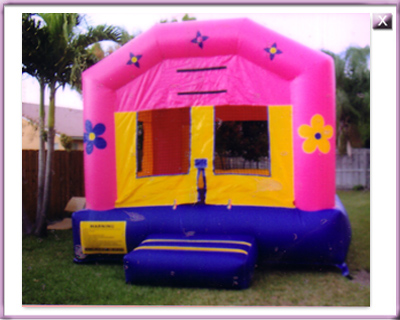 Bounce Pink House